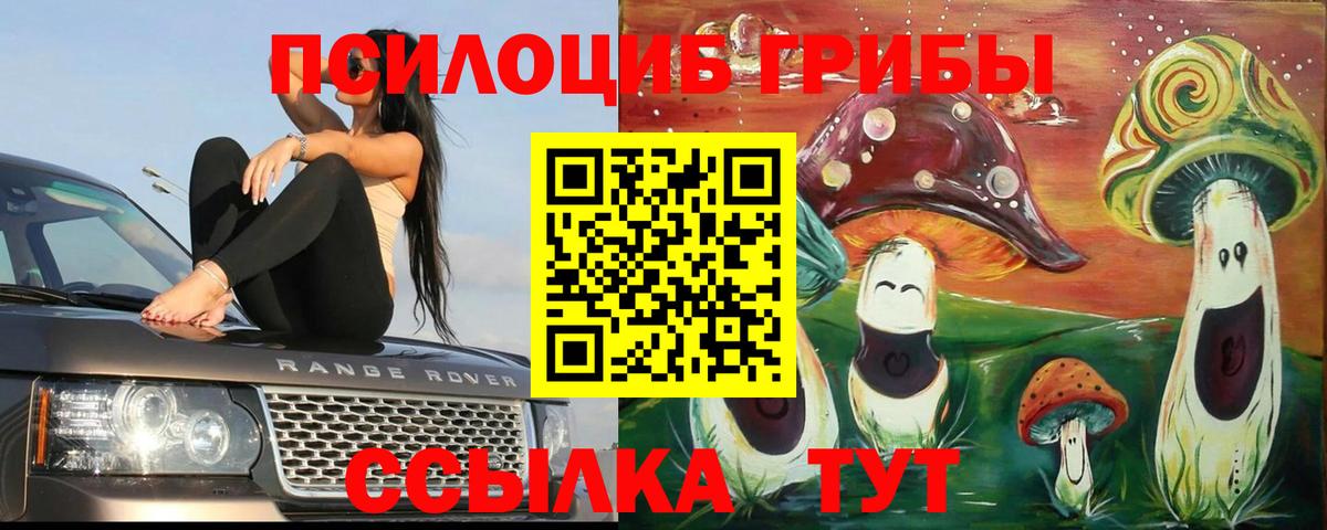 Псилоцибиновые грибы ЛСД  Вход с VPN  как найти закладки  Балашов  Псилоцибиновые грибы Cubensis 