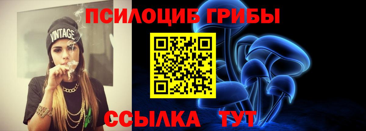 Псилоцибиновые грибы ЛСД Балашов
